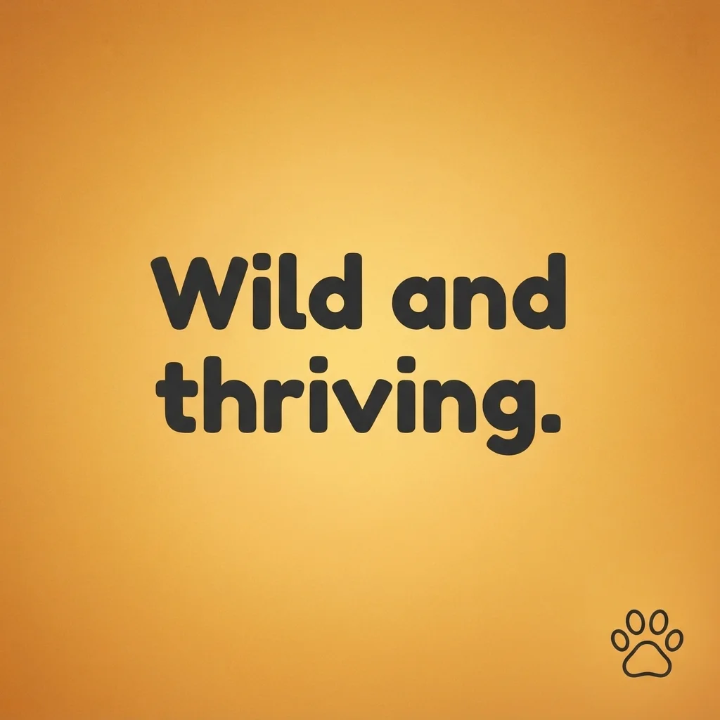 Short Animal Puns for Instagram Captions